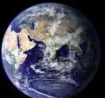 How will we save the environment? Are you against people who harm our planet? What will we do to save this place? Type your answer!