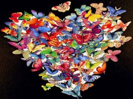 Do you love butterflies? I love butterflies Do you love butterflies? I love butterflies