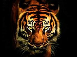 Should I battle Brooke? She always wants me to fight her and she Billy's me and my parents friends say its a good way to end our rivalry so should I have the eye of the tiger or back down? Should I battle Brooke? She always wants me to fight her and she Billy's me and my parents friends say its a good way to end our rivalry so should I have the eye of the tiger or back down?