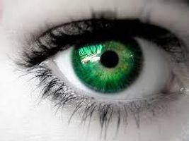 Help, I have been dealing with this for a long time. I have been "daydreaming" ever since I was a little kid, and then I went through a very traumatic event, and it got worse. Yes, I think I have post traumatic stress disorder, but I think it may be more than that. I feel like a robot doing things, just going along with everything and I kind of daze out doing anything, from walking to class to just reading. What really worried me was when I got my first driving lesson from my dad, and I felt like I wasn't there, which is a very scary feeling especially since I am putting in risk me and my dads' life. Although I think I have ADD, I have always done very good in school, but after school, I'm so exhausted from trying to concentrate so hard and I don't socialize or anything. Does anyone know what this could be? Am I right in thinking it's ADD? Can 18 year olds be diagnosed with ADD? Help? Help, I have been dealing with this for a long time. I have been "daydreaming" ever since I was a little kid, and then I went through a very traumatic event, and it got worse. Yes, I think I have post traumatic stress disorder, but I think it may be more than that. I feel like a robot doing things, just going along with everything and I kind of daze out doing anything, from walking to class to just reading. What really worried me was when I got my first driving lesson from my dad, and I felt like I wasn't there, which is a very scary feeling especially since I am putting in risk me and my dads' life. Although I think I have ADD, I have always done very good in school, but after school, I'm so exhausted from trying to concentrate so hard and I don't socialize or anything. Does anyone know what this could be? Am I right in thinking it's ADD? Can 18 year olds be diagnosed with ADD? Help?
