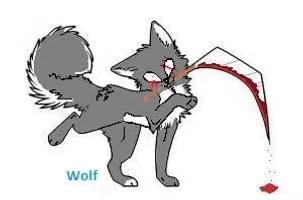 Wolf: What would you do if you saw me in your room and i was watching you sleep?