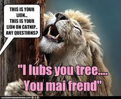 is this funny?!?!?!??!!!?1?/!/ is this funny?!?!?!??!!!?1?/!/