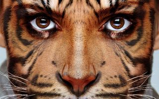What if You Became Your Favorite Animal? What if you became your favorite animal? What would you be? What would you be? How'd you surive? What if You Became Your Favorite Animal? What if you became your favorite animal? What would you be? What would you be? How'd you surive?
