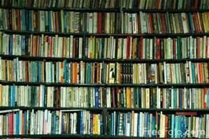 What Is Your Favorite Book? (2) What Is Your Favorite Book? (2)