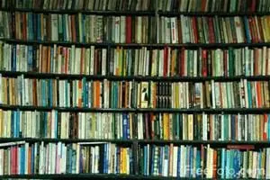 What Is Your Favorite Book? (2) What Is Your Favorite Book? (2)