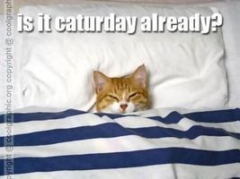 what's your favorite way to spend Saturday how do you spend Saturday at the pond or lake or at home watching TV what's your favorite way to spend Saturday how do you spend Saturday at the pond or lake or at home watching TV