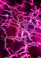 what should my quiz be about? I want to make a new quiz.I do have some ideas but I would like to know your opinion what should my quiz be about? I want to make a new quiz.I do have some ideas but I would like to know your opinion