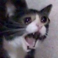 How was 2018 for y'all ? It's 2019 and I'm already dreading . Both years started off pretty normal but this year's comparatively not so good. (Academically) What about you guys? How was 2018 for y'all ? It's 2019 and I'm already dreading . Both years started off pretty normal but this year's comparatively not so good. (Academically) What about you guys?