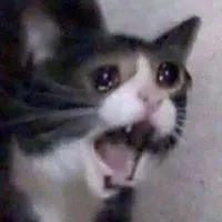 How was 2018 for y'all ? It's 2019 and I'm already dreading . Both years started off pretty normal but this year's comparatively not so good. (Academically) What about you guys? How was 2018 for y'all ? It's 2019 and I'm already dreading . Both years started off pretty normal but this year's comparatively not so good. (Academically) What about you guys?