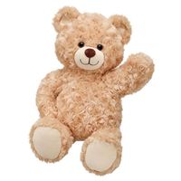 What Kind of Stuffy do/did you have? Do/did you have a stuffed animal? What does it look like? Does it have a name? What Kind of Stuffy do/did you have? Do/did you have a stuffed animal? What does it look like? Does it have a name?