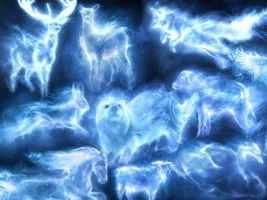What patronus are you on pottermore? I am a nebelung cat which means creatures of the mist and my wand is yew but im gryffindor so it all fits! I am also an ocicat bred nembelung but enough abt me... What patronus are you on pottermore? I am a nebelung cat which means creatures of the mist and my wand is yew but im gryffindor so it all fits! I am also an ocicat bred nembelung but enough abt me...
