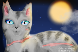What do you Think of my OC, WolfSun? What do you Think of my OC, WolfSun?