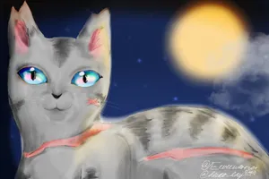 What do you Think of my OC, WolfSun? What do you Think of my OC, WolfSun?