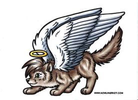 What is your favorite type of dog? Mine is and austrailian shepard post pictures of your favorite and follow thank you! What is your favorite type of dog? Mine is and austrailian shepard post pictures of your favorite and follow thank you!