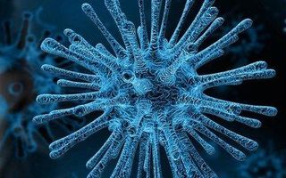 Are you afraid of the new coronavirus (COVID-19) ? Why yes, why not? Are you afraid of the new coronavirus (COVID-19) ? Why yes, why not?