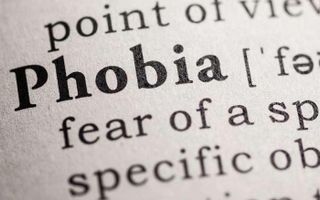 What is your phobia? (If you have one!) Do you have a phobia? In case there's any dummies out there, a phobia is something you simply can't stand. You have a irrational fear of it. What is your phobia about and how badly does it affect you? What is your phobia? (If you have one!) Do you have a phobia? In case there's any dummies out there, a phobia is something you simply can't stand. You have a irrational fear of it. What is your phobia about and how badly does it affect you?