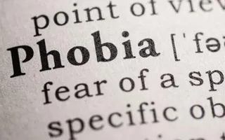 What is your phobia? (If you have one!) Do you have a phobia? In case there's any dummies out there, a phobia is something you simply can't stand. You have a irrational fear of it. What is your phobia about and how badly does it affect you? What is your phobia? (If you have one!) Do you have a phobia? In case there's any dummies out there, a phobia is something you simply can't stand. You have a irrational fear of it. What is your phobia about and how badly does it affect you?