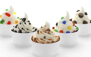 which would you rather have, regular yogurt or frozen yogurt? even if you don't like yogurt just ... i don't... this does not include ice cream. question number 6 which would you rather have, regular yogurt or frozen yogurt? even if you don't like yogurt just ... i don't... this does not include ice cream. question number 6