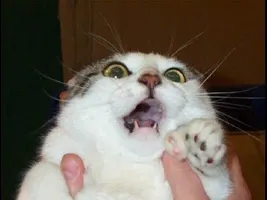 HELP ME i am so scared! Ok so i heard from my brother a few minutes ago that there is bomb threats in The area around me Rode Island. I am flipping out because i already have crazy angsiety attacks. this doesn't help so please HELP me what do i DO? HELP ME i am so scared! Ok so i heard from my brother a few minutes ago that there is bomb threats in The area around me Rode Island. I am flipping out because i already have crazy angsiety attacks. this doesn't help so please HELP me what do i DO?