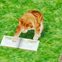 What are some of the things you need for a new kitten? Hey I'm getting a new kitten, he is old enough for me to pick him up in 7 weeks time. What are some of the things I need, for his arrival. What are some of the things you need for a new kitten? Hey I'm getting a new kitten, he is old enough for me to pick him up in 7 weeks time. What are some of the things I need, for his arrival.