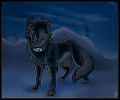 What is the greatest pet in the whole entire world? So, what do you think the greatest pet in the world is? I think it is wolves. #BlackWolf What is the greatest pet in the whole entire world? So, what do you think the greatest pet in the world is? I think it is wolves. #BlackWolf