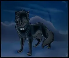 What is the greatest pet in the whole entire world? So, what do you think the greatest pet in the world is? I think it is wolves. #BlackWolf What is the greatest pet in the whole entire world? So, what do you think the greatest pet in the world is? I think it is wolves. #BlackWolf