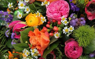 Favourite type of flower Favourite flower and why? Favourite type of flower Favourite flower and why?