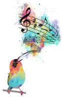 whats your fav music ? is it rap is it pop what could it be whats your fav music ? is it rap is it pop what could it be