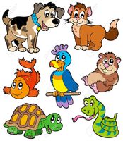 what kind of pets do you want to have? i would like a white cat cause they are cute and fluffy. but last time i had a hamster and a cat but i lost them on the street. what kind of pets do you want to have? i would like a white cat cause they are cute and fluffy. but last time i had a hamster and a cat but i lost them on the street.