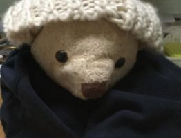 Think of this bears name What do you think the name should be (BTW it's a girl) Think of this bears name What do you think the name should be (BTW it's a girl)