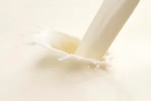 favourite type of milk? favourite type of milk?