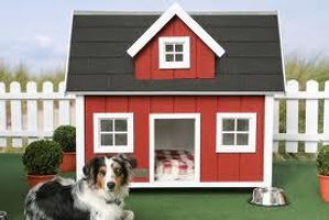 What about this kennel? I think it is really cool! What do you think? What about this kennel? I think it is really cool! What do you think?