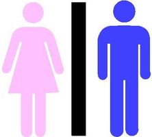 which is better better boys or girls i'm a girl and i honestly think girls, but just wanna know other people's opinion (i'm making a poll too) which is better better boys or girls i'm a girl and i honestly think girls, but just wanna know other people's opinion (i'm making a poll too)