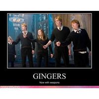 Who else is a ginger? Who else is a ginger?