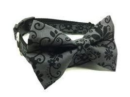What kind of dog would suit this Bow Tie Collar? I don't know.... What kind of dog would suit this Bow Tie Collar? I don't know....