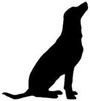 Do you need help with your pet ?? Do you need training help or tips?? Well I'm here to help! Just inbox me or ask right here. Please include your pets name,kind (dog,cat,horse,rabbit,etc) Breed (if you know ) age ( if you know) and what you want help with. Please feel free to ask away and I will try to respond to you ASAP! For and example, Hi I need help with my dog Buddy. He is a 7 year old German Shepherd who just can't behave when guest come over !! He will bark at them and jump on them. Do you need help with your pet ?? Do you need training help or tips?? Well I'm here to help! Just inbox me or ask right here. Please include your pets name,kind (dog,cat,horse,rabbit,etc) Breed (if you know ) age ( if you know) and what you want help with. Please feel free to ask away and I will try to respond to you ASAP! For and example, Hi I need help with my dog Buddy. He is a 7 year old German Shepherd who just can't behave when guest come over !! He will bark at them and jump on them.