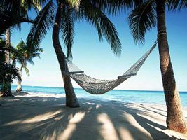 What do you think is the best vacation? Maybe, a cruise to France, a road trip across the country, a skiing trip.... What do you think is the best vacation? Maybe, a cruise to France, a road trip across the country, a skiing trip....