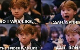 THE ULTIMATE QUESTION: Harry Potter or Twilight? I definitely prefer Harry Potter, and I think most people do, but I'd like to see again, overall, which has more fans. THE ULTIMATE QUESTION: Harry Potter or Twilight? I definitely prefer Harry Potter, and I think most people do, but I'd like to see again, overall, which has more fans.
