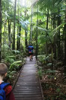 Do you like nature? Do you like nature?