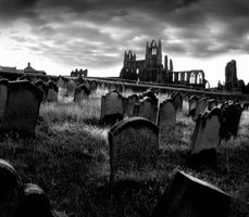 Do you believe in the paranormal? Have you ever had a paranormal experience or ever experienced anything you believe was something of the paranormal? Do you believe in the paranormal? Have you ever had a paranormal experience or ever experienced anything you believe was something of the paranormal?