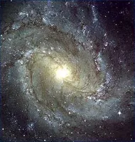 what is the meaning of life? (6) what do you think the meaning of life is?Type it down below what is the meaning of life? (6) what do you think the meaning of life is?Type it down below