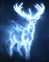 What's your Harry Potter patronous? I probably spelled it wrong but I don't care What's your Harry Potter patronous? I probably spelled it wrong but I don't care