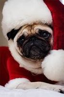 Wha Do You Want For Christmas 2014-2015 Hey, christmas coming so i made this question because i am so excited to see what do you want for christmas 2014-2015 Wha Do You Want For Christmas 2014-2015 Hey, christmas coming so i made this question because i am so excited to see what do you want for christmas 2014-2015