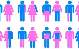 What's everyones gender/pronouns? Partly so I remember, partly cause I'm curious What's everyones gender/pronouns? Partly so I remember, partly cause I'm curious