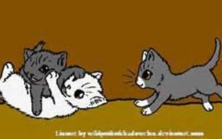 Why dont dewpaw amberpaw and snowpaw look like cloudtail? (warrior cats question) Ok I'm confused here...whitewing she just SCREAMS Cloudtail...and honestly when I saw Dewpaw,snowpaw and amberpaw I was like.."what the check? It's like Hollyleaf jayfeather and lionblaze all over again!" I mean amberpaw he kinda whispers "brightheart" he's kinda got her color but way off...I looked on the warrior cats Wikipedia and it said they are his and her official kids and I'm confused...only 2 look like the parents...it's just..that one Jackie Chan face for me...I need a explanation! Why dont dewpaw amberpaw and snowpaw look like cloudtail? (warrior cats question) Ok I'm confused here...whitewing she just SCREAMS Cloudtail...and honestly when I saw Dewpaw,snowpaw and amberpaw I was like.."what the check? It's like Hollyleaf jayfeather and lionblaze all over again!" I mean amberpaw he kinda whispers "brightheart" he's kinda got her color but way off...I looked on the warrior cats Wikipedia and it said they are his and her official kids and I'm confused...only 2 look like the parents...it's just..that one Jackie Chan face for me...I need a explanation!