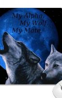 r u a wolf? r u a wolf like me? r u a wolf? r u a wolf like me?