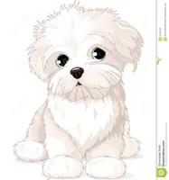 Can a maltese (pet) fight with stray? please tell me. i have a doubt cause ppl say it's fragile then can it survive dog attacks? Can a maltese (pet) fight with stray? please tell me. i have a doubt cause ppl say it's fragile then can it survive dog attacks?