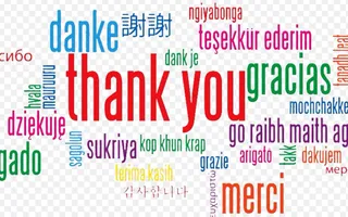 What are you thankful for? Me:I'm thankful for anime,video games,books,tablets,phones,netendo, Pokemon,my followers,music,glasses,wifi,school(sometimes),animals,food- ?:What about the people in your life? Me:Oh,what?Uh,yeah,yeah,whatever gets you up in the morning. (P.S:ITS NOT CHRISTMAS YET SO DONT YOU DARE HANG THOES LIGHTS OR CUT TREES DOWN! Thank you :) ) What are you thankful for? Me:I'm thankful for anime,video games,books,tablets,phones,netendo, Pokemon,my followers,music,glasses,wifi,school(sometimes),animals,food- ?:What about the people in your life? Me:Oh,what?Uh,yeah,yeah,whatever gets you up in the morning. (P.S:ITS NOT CHRISTMAS YET SO DONT YOU DARE HANG THOES LIGHTS OR CUT TREES DOWN! Thank you :) )