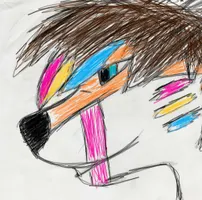 FoxyFox_Kota FoxyFox_Kota