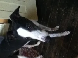 ella4o12 ella4o12
